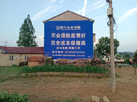 安乡墙体广告的优劣势你知道吗？