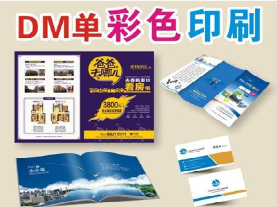 安乡单页印刷，色彩搭配简单。